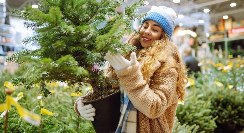 A fenntartható karácsonyom: én így csinálom, hogy jó legyen a Földnek is