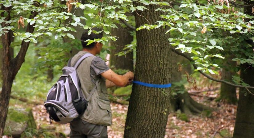 Közösségi alapú mintaprojekt indult a Pilisben