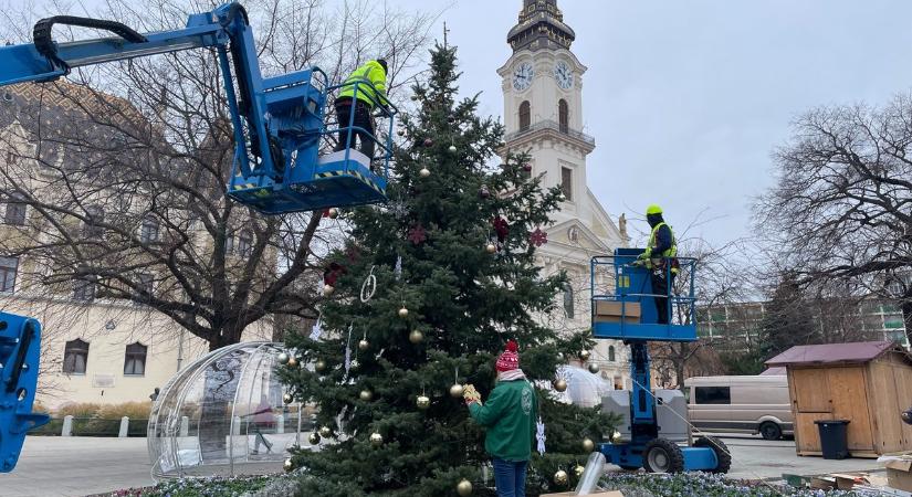 Felragyog Kecskemét: már díszekben pompázik a városi karácsonyfa, pénteken indul a programkavalkád – fotók, videó