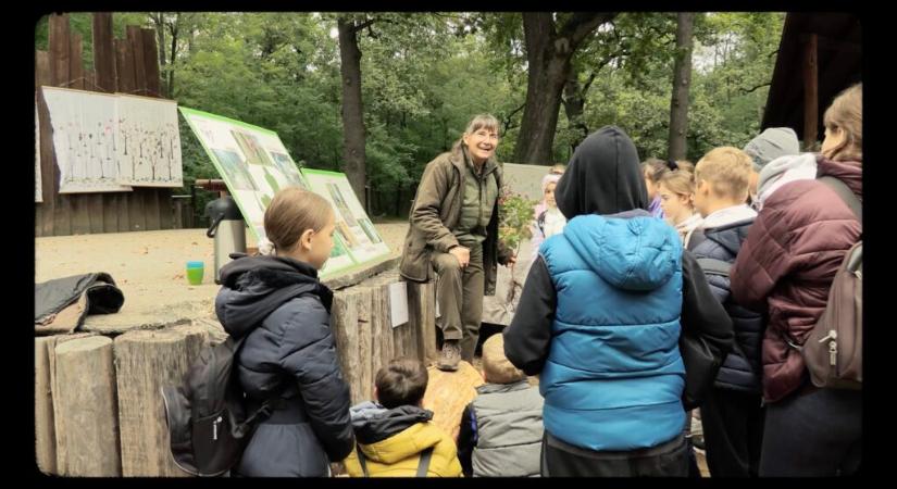 Erdőmánia: kisfilm készült a Sóstói-erdőről – WWF-díjat kapott a klímabarát városi erdőkezelés