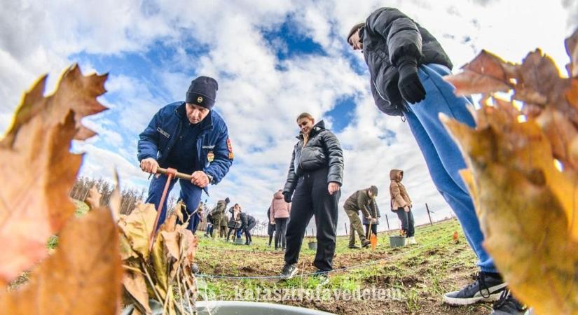 Öt napig tomboltak a lángok, most új erdő születik: indul a vasi erdő visszazöldítése! - fotók