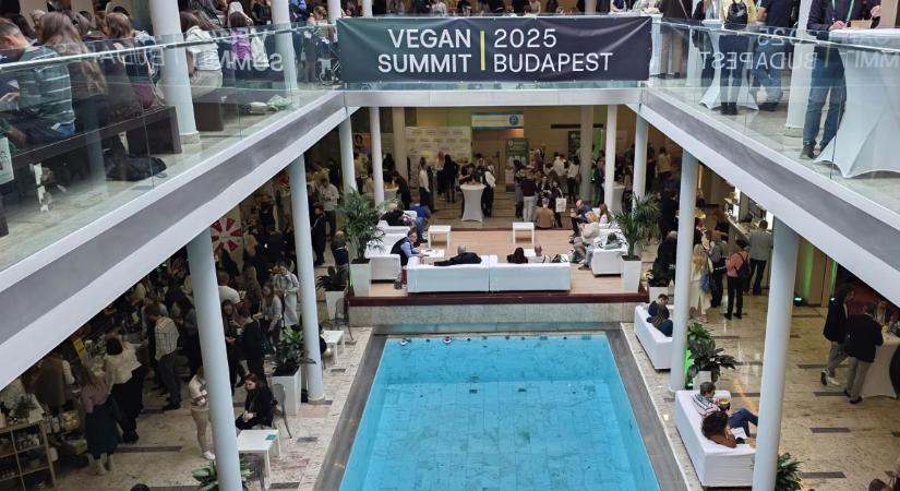 Öt imádni való vegán márka (nem csak vegánoknak)