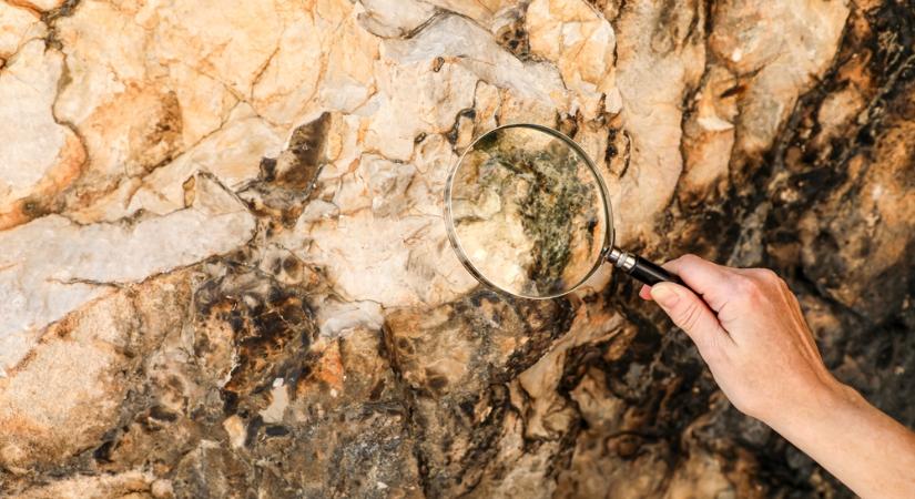 Horror a nemzeti parkban: ismeretlen lényt fedeztek fel a kutatók