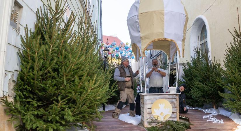 Idén is téli álomvilággá változik a Vasvári Pál utca (galéria)