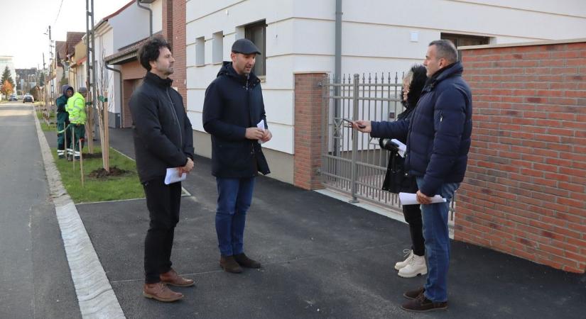 Japán liliomfák ontják majd illatukat nemsokára a park melletti utcákban (galéria, videó)