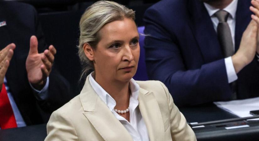 Újraindítaná az Északi Áramlatot az AfD elnöke