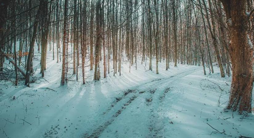 Ezt látni kell: Gyönyörű hótakaró borítja a Bükköt – Galéria