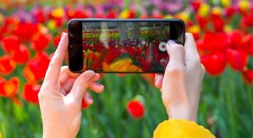 Ezeket a fotókat készítsd el a kertedről most