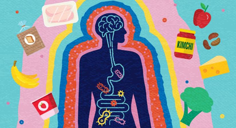 Ezt a 4 dolgot szeretné a bélrendszered, hogy tudd – sőt, könyörög érte!