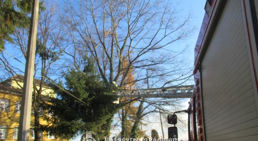 Tűzoltók vágták le a veszélyes ágakat