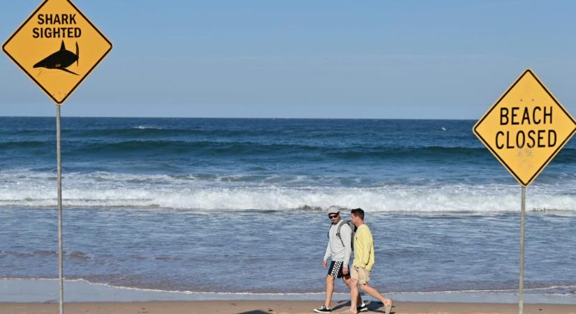Cápatámadásban meghalt egy turista egy ausztrál strandon
