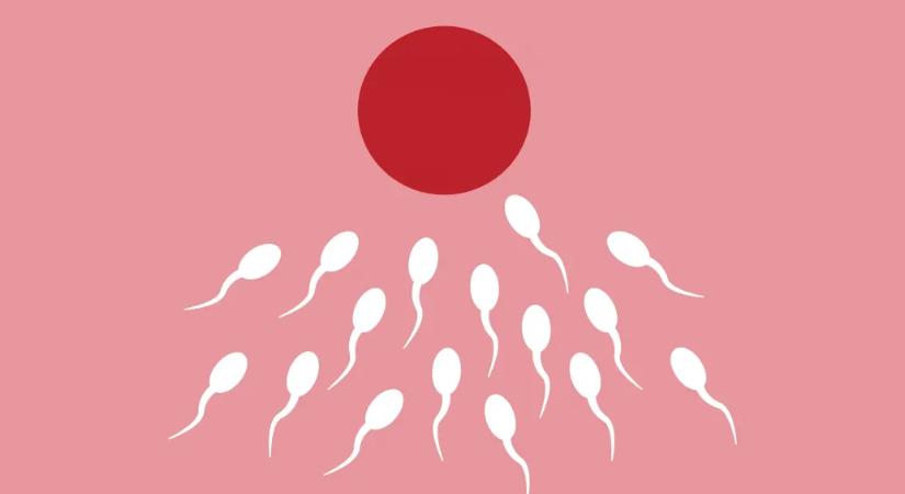 Orbánig is elért, mégis megbicsaklott – egyelőre Brnóba kell menniük a magyar meddő pároknak petesejtért