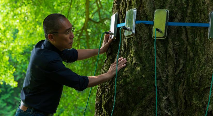 Hamarosan a mozikban: Előzetest kapott Enyedi Ildikó új filmje, a Csendes barát