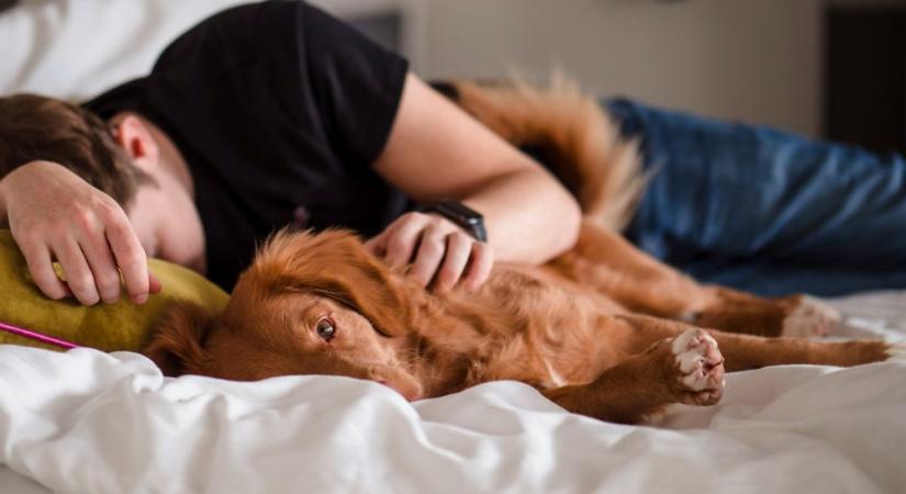 A tested titkos üzemmódja: így regenerál éjszaka a szervezeted