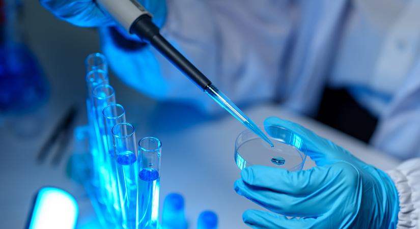 2007-ben tűnt el a nő, most azonban történt valami egészen váratlan