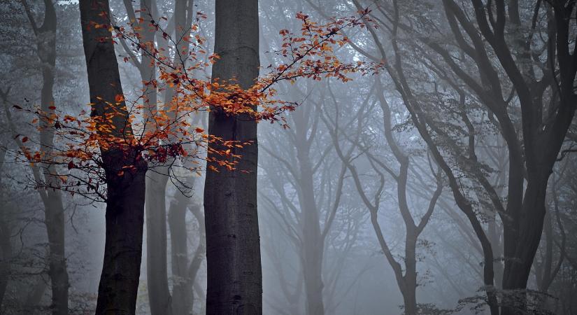 Szürkébb arcát mutatja az idő
