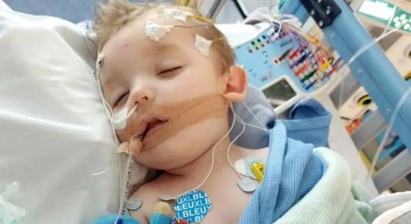 Születése után remegni kezdett az újszülött karja, szörnyű diagnózist kapott