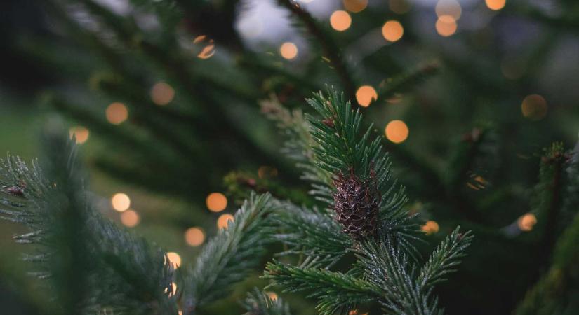 Megvan a négyhetes előrejelzés: ilyen időre számíthatunk karácsonykor