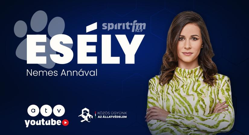 Állatvédelmi műsort indít a népszerű tévés