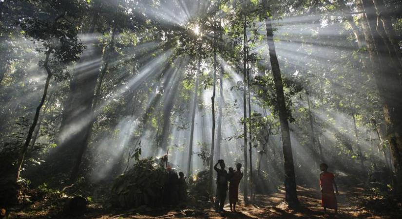 Annyira ritka ez az állat, hogy a senki nem tudja, mennyi él belőle a világon