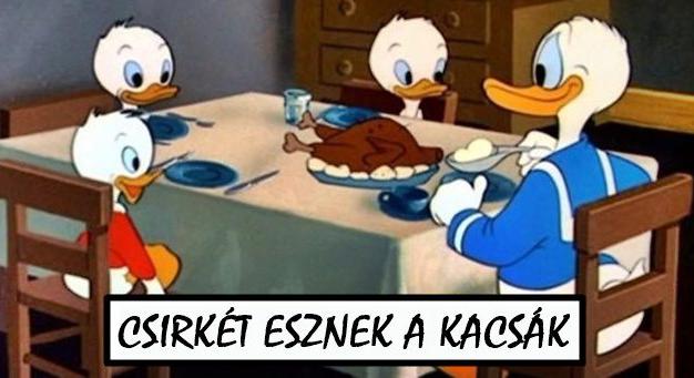 20 kép bizonyítja, hogy a rajzfilmek teljesen logikátlanok