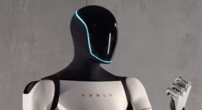 A mesterséges intelligencia lufi után itt az emberszabású robot lufi is