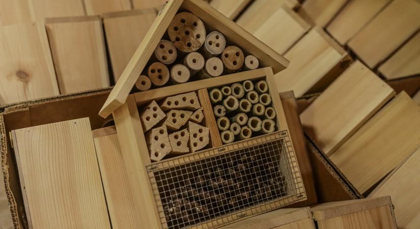 Pótjelentkezési lehetőség az át nem vett rovarhotelekre