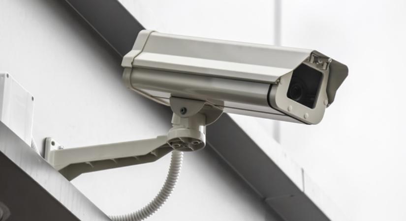 Mérgezett ételt adott szomszédja kutyáinak a magyar férfi, csakhogy mindent rögzített a biztonsági kamera - Videó