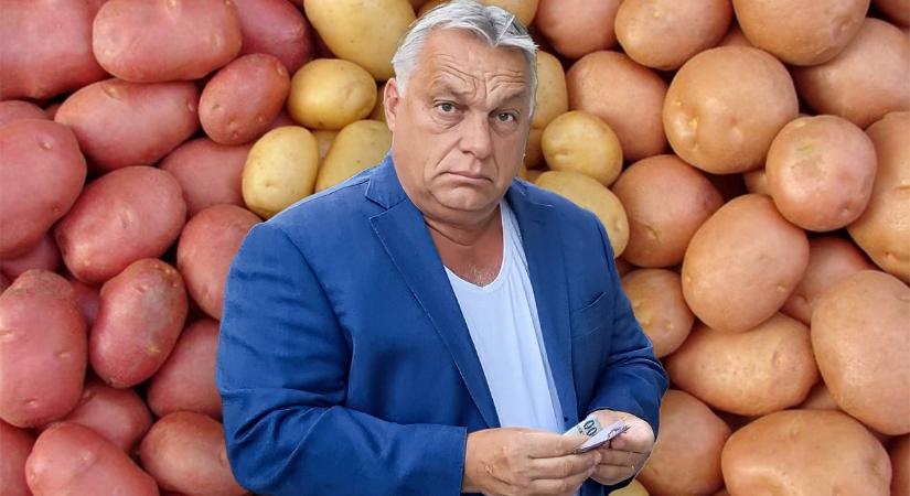 Egy rokkant hölgy kifejtette, miért kell Orbán Viktornak maradnia hatalmon