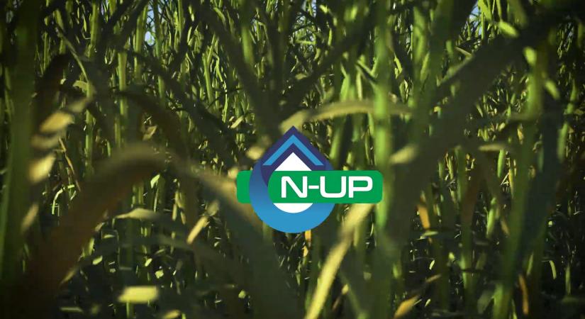 N-UP, hogy a Nitrogén hosszabb ideig elérhető maradjon a növény számára!