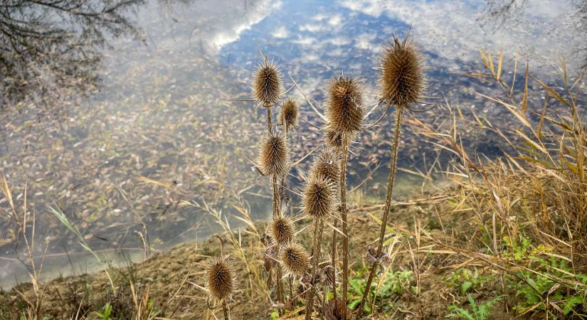 Mesél a föld Nógrádban, akár egy messzi galaxisban
