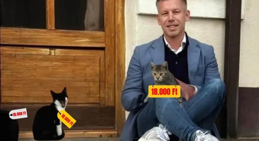 A Fidesz a szemünk előtt végezte ki a legfontosabb témát, amiről a kampányban beszélni kéne