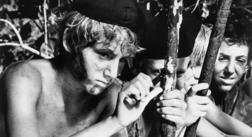 Telex Diszpó november 28-tól december 5-ig