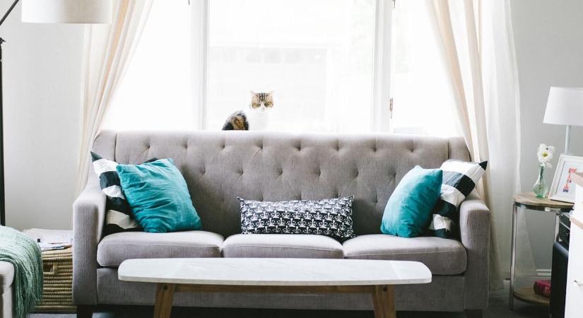 Hogyan válaszd ki az ideális függönyt az otthonodhoz?