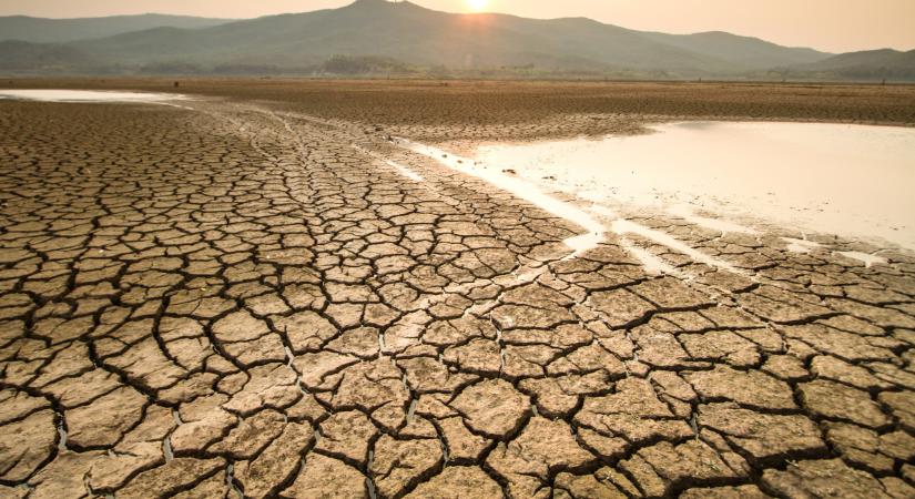 Víz nélkül haldokolik a Homokhátság: forradalmi módszerrel mentenék meg a szikes tavakat