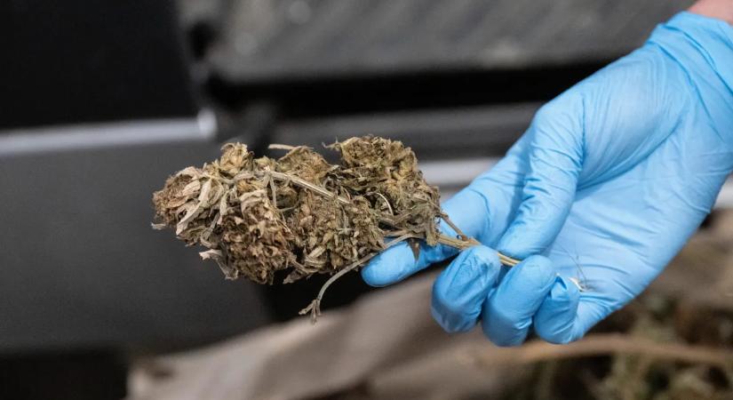 Drogbiznisz volt a családi vállalkozás