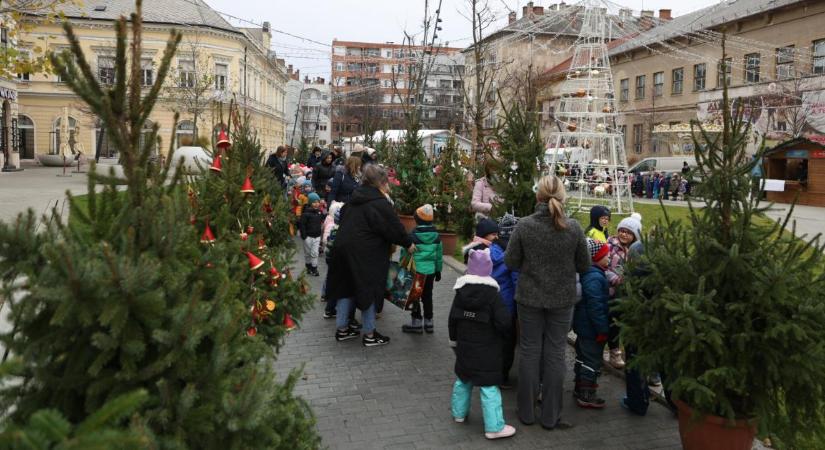 Egészen aprócska karácsonnyal nyitott Debrecen ünnepi programsorozata