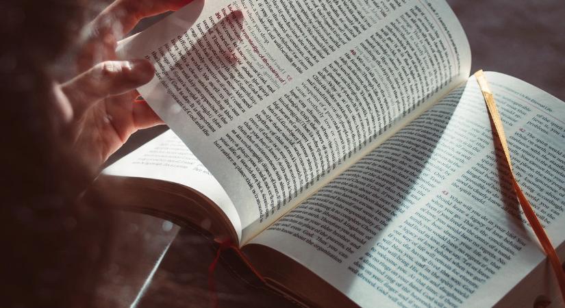 Újra divat könyvtárba járni?