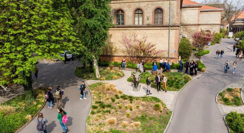 Hadházy: Kötelező drogprevenciós előadást tartanak az Állatorvosi Egyetem hallgatóinak