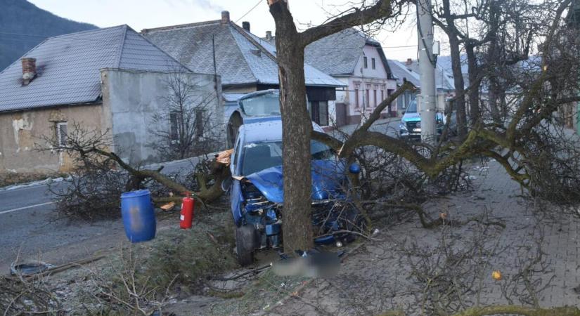 Hajszálon múlt az élete: nyílegyenesen fának csapta autóját egy nő (FOTÓK)