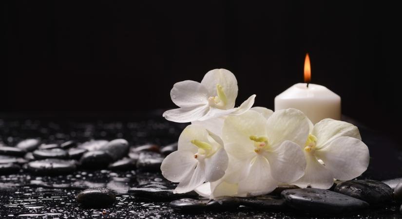 Elhunyt a legendás mentőkutya, Mancs gazdája