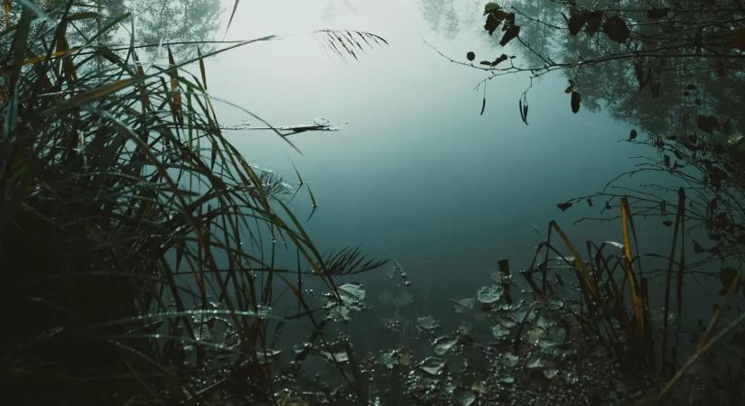 Nem hiszi el, hogy mit találtak a kolozsvári tóban