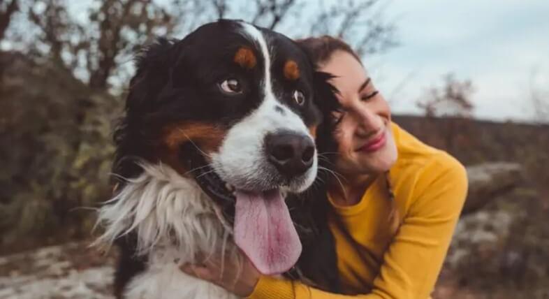 Kutyával jógázni? Pet wellness trendek, amik minket is feltöltenek
