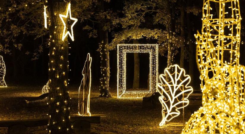 Fényállatok Parkja a szolnoki Bagolyvár Vadasparkban – 200.000 izzó és 6 km fényfüzér teszi varázslatossá a 9000 m²‑en elterülő NEFAG Fényparkot
