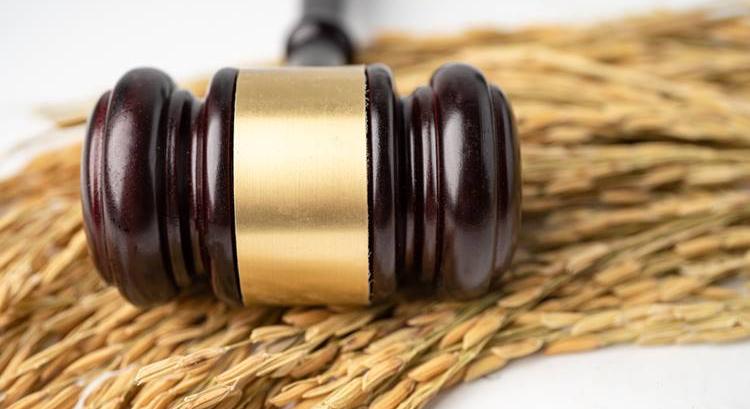 Agrárjog gazdáknak: segítség a gazdaságátadási szerződésekhez