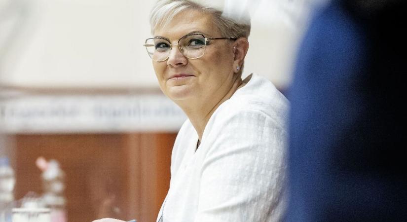 A XV. kerület vezetése fejlesztési forrást harcolt ki a rákényszerített lakópark mellé