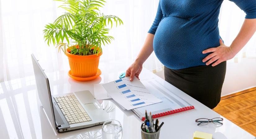 Feketeleves lehet a csed és gyed összege ekho esetén – gyakorlati példával