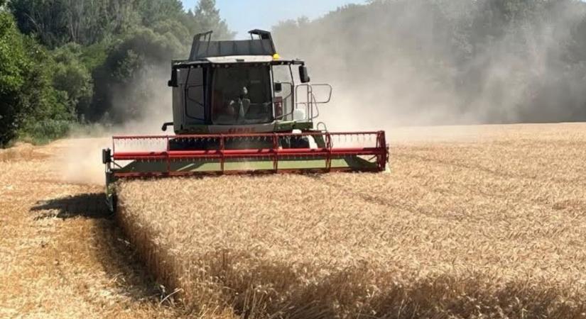 Korszerű eszközökkel a mezőgazdasági kockázatok ellen