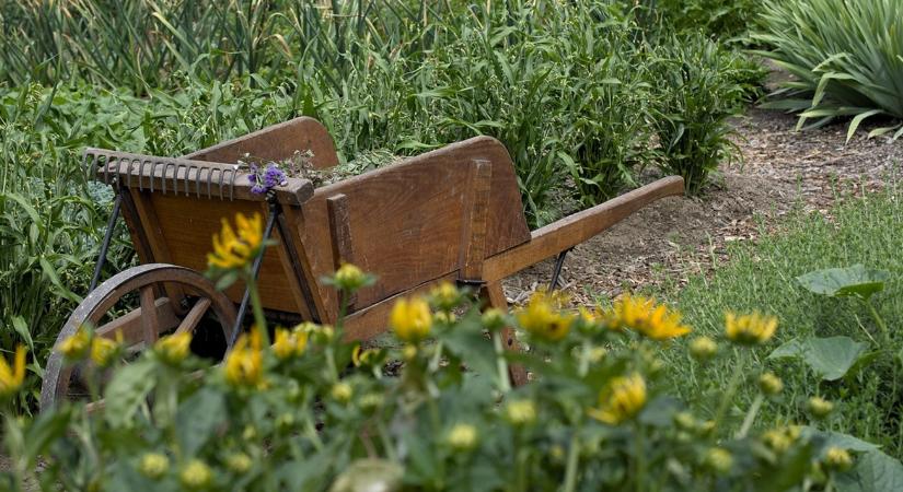 Miért jobb néha semmit sem csinálni?