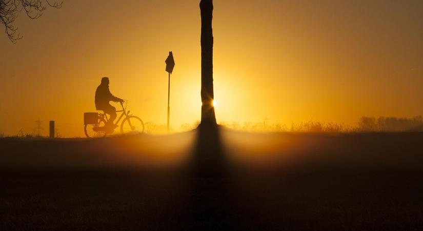 Őszi faültetés a Településfásítási Programban